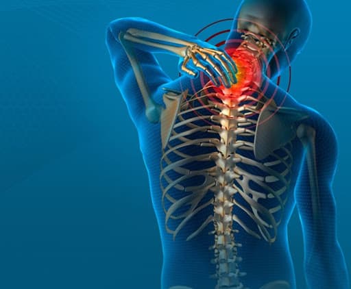 Momentum Spine & Joint