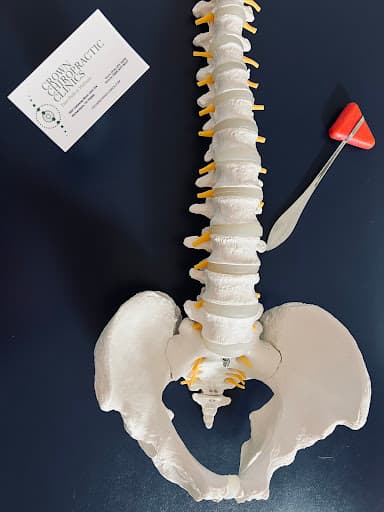 Crown Chiropractic Clinics